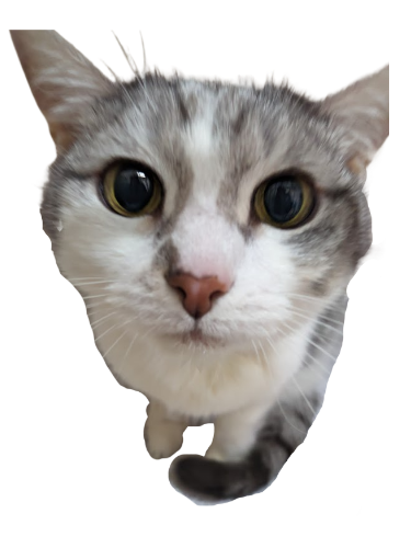 Tango